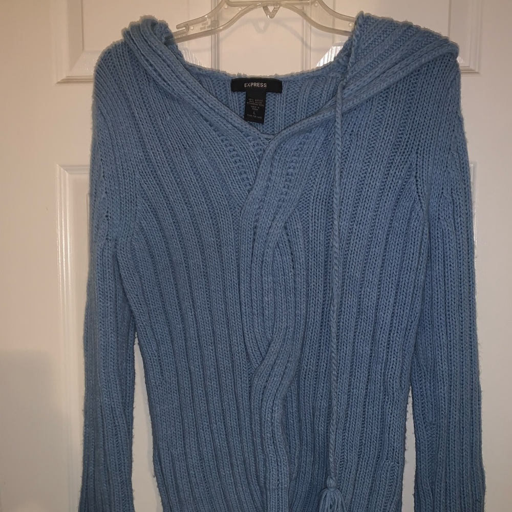 Express Hooded Sweater